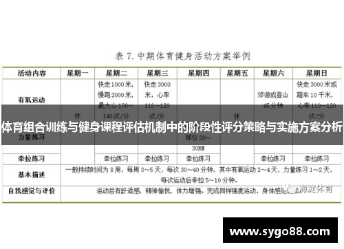 体育组合训练与健身课程评估机制中的阶段性评分策略与实施方案分析